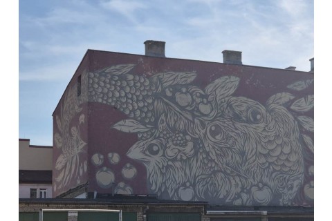 Spacer rodzinny po Białymstoku - Śródmiejskie murale