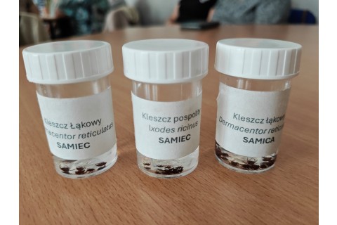Spotkanie w ramach ogólnopolskiego programu „Senior w roli głównej