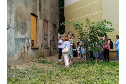 Spacer Seniorów po Białymstoku - Śródmiejskie murale
