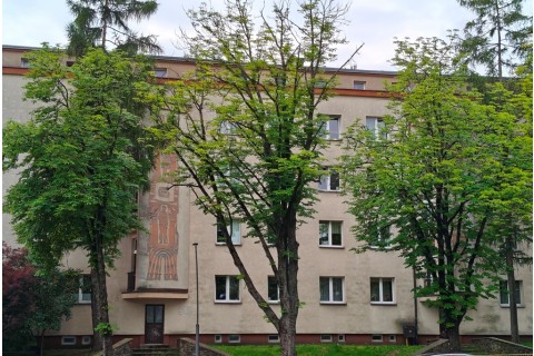 Spacer Seniorów po Białymstoku - Śródmiejskie murale