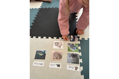 Zajęcia j. angielskiego dla dzieci 4-5 lat