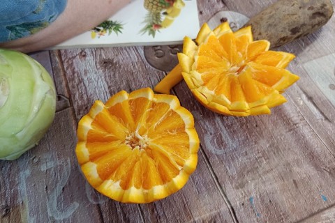 Warsztaty artystyczne dla seniorów - carving