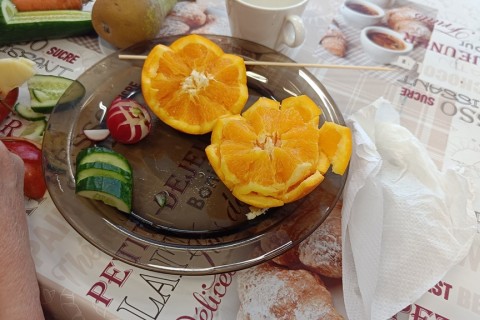 Warsztaty artystyczne dla seniorów - carving