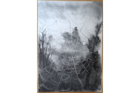 Warsztaty malarstwa dla seniorów