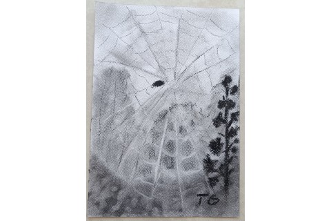 Warsztaty malarstwa dla seniorów