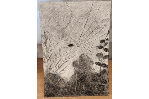 Warsztaty malarstwa dla seniorów