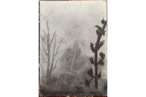 Warsztaty malarstwa dla seniorów