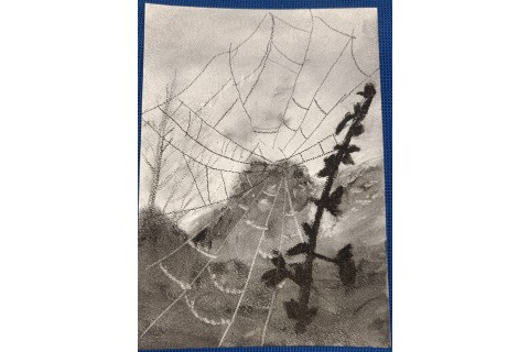 Warsztaty malarstwa dla seniorów