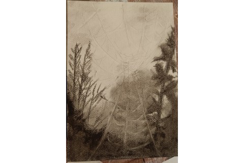 Warsztaty malarstwa dla seniorów