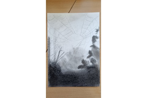 Warsztaty malarstwa dla seniorów