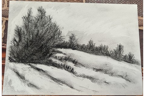 Warsztaty malarstwa dla seniorów