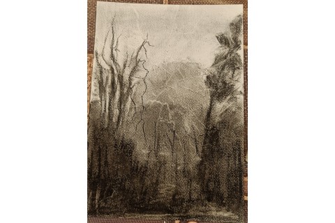 Warsztaty malarstwa dla seniorów