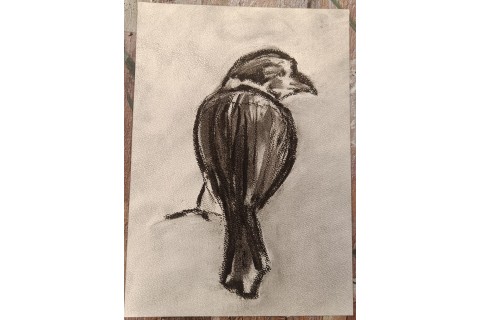 Warsztaty malarstwa dla seniorów