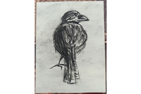 Warsztaty malarstwa dla seniorów