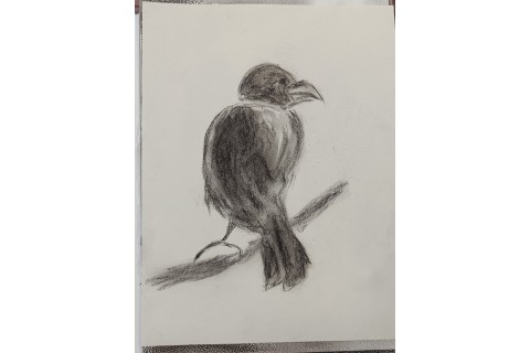 Warsztaty malarstwa dla seniorów