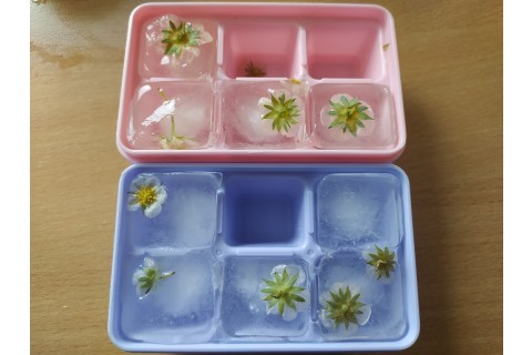 Warsztaty „Zioła smaczne, zdrowe i niezwykłe” - „Wiosenne mikstury”