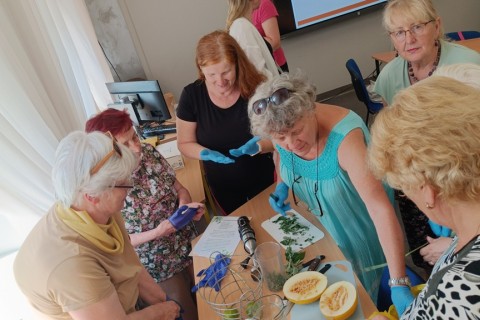 Warsztaty „Zioła smaczne, zdrowe i niezwykłe” - „Wiosenne mikstury”