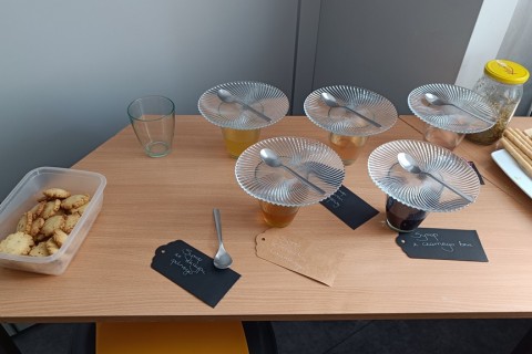 Warsztaty „Zioła smaczne, zdrowe i niezwykłe” - „Wiosenne mikstury”