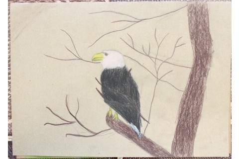 Zajęcia z rysunku dla dzieci