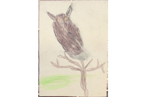 Zajęcia z rysunku dla dzieci