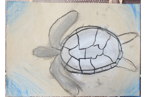 Zajęcia z rysunku dla dzieci