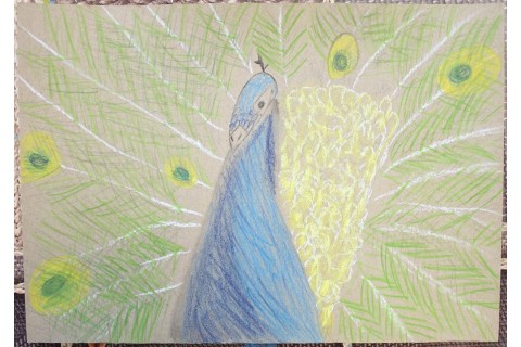 Zajęcia z rysunku dla dzieci