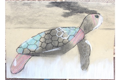 Zajęcia z rysunku dla dzieci