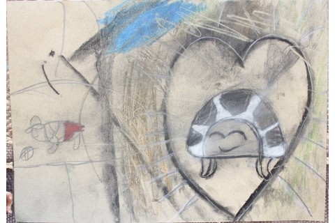 Zajęcia z rysunku dla dzieci