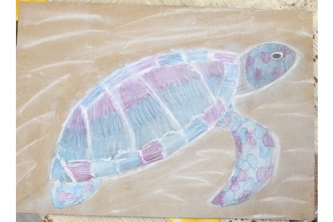 Zajęcia z rysunku dla dzieci