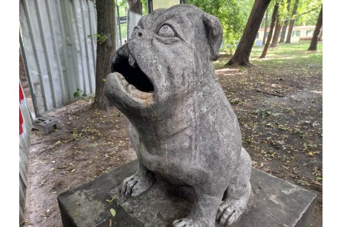 Spacer historyczny dla seniorów