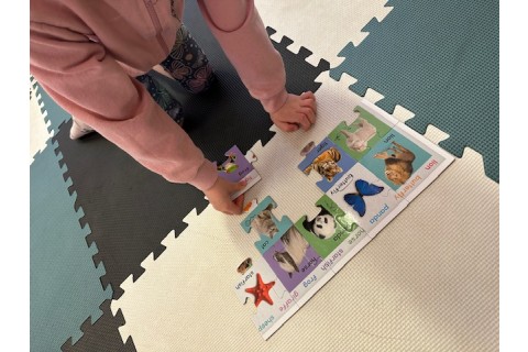 Zajęcia j. angielskiego dla dzieci 4-5 lat