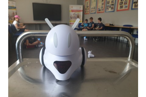 Trening pamięci - warsztaty z robotem Photon dla dzieci 10 - 12 lat