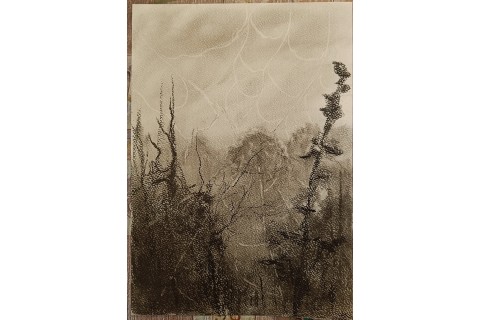 Warsztaty malarstwa dla seniorów