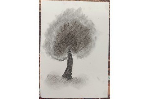 Warsztaty malarstwa dla seniorów