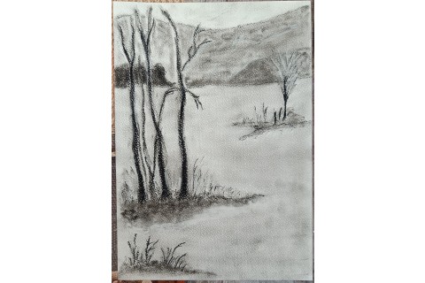 Warsztaty malarstwa dla seniorów