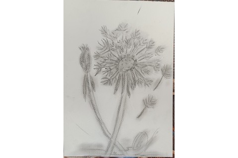 Warsztaty malarstwa dla seniorów