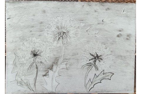 Warsztaty malarstwa dla seniorów