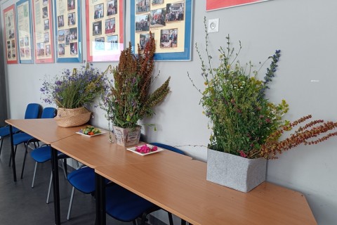 Zioła smaczne, zdrowe i niezwykłe- Kwieciste smaki i kolory