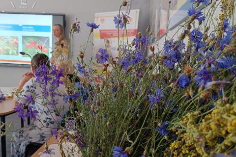 Zioła smaczne, zdrowe i niezwykłe- Kwieciste smaki i kolory