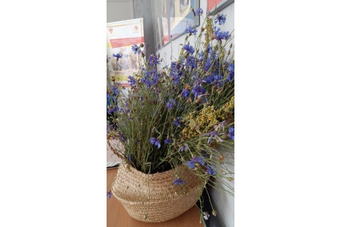 Zioła smaczne, zdrowe i niezwykłe- Kwieciste smaki i kolory