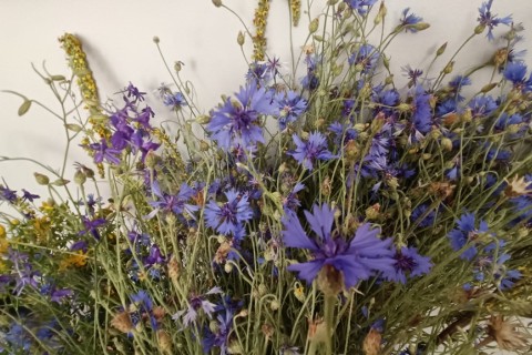 Zioła smaczne, zdrowe i niezwykłe- Kwieciste smaki i kolory