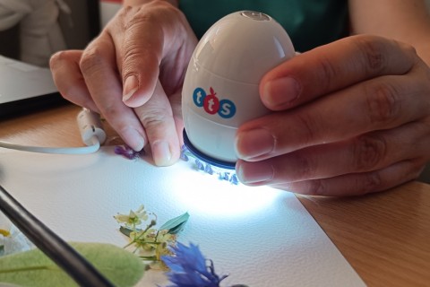 Zioła smaczne, zdrowe i niezwykłe- Kwieciste smaki i kolory