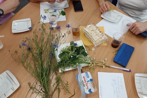 Zioła smaczne, zdrowe i niezwykłe- Kwieciste smaki i kolory