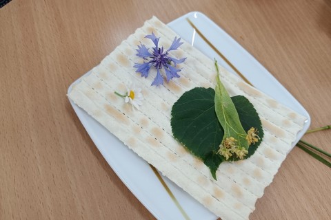 Zioła smaczne, zdrowe i niezwykłe- Kwieciste smaki i kolory