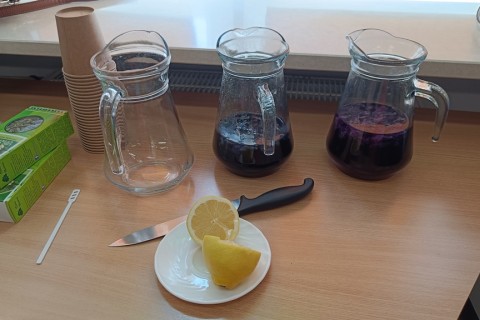 Zioła smaczne, zdrowe i niezwykłe- Kwieciste smaki i kolory