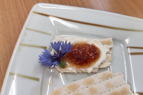 Zioła smaczne, zdrowe i niezwykłe- Kwieciste smaki i kolory