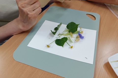 Zioła smaczne, zdrowe i niezwykłe- Kwieciste smaki i kolory