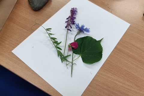 Zioła smaczne, zdrowe i niezwykłe- Kwieciste smaki i kolory