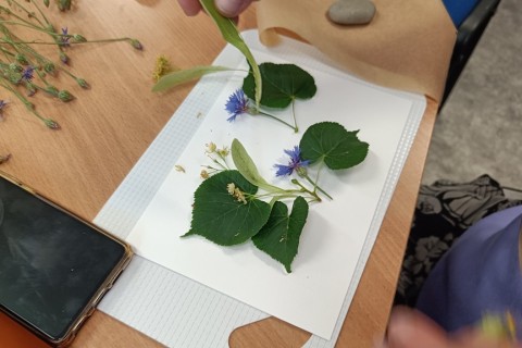 Zioła smaczne, zdrowe i niezwykłe- Kwieciste smaki i kolory