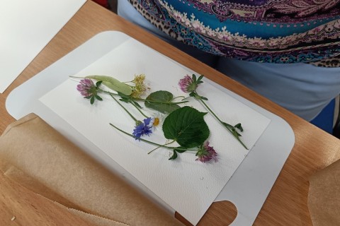 Zioła smaczne, zdrowe i niezwykłe- Kwieciste smaki i kolory